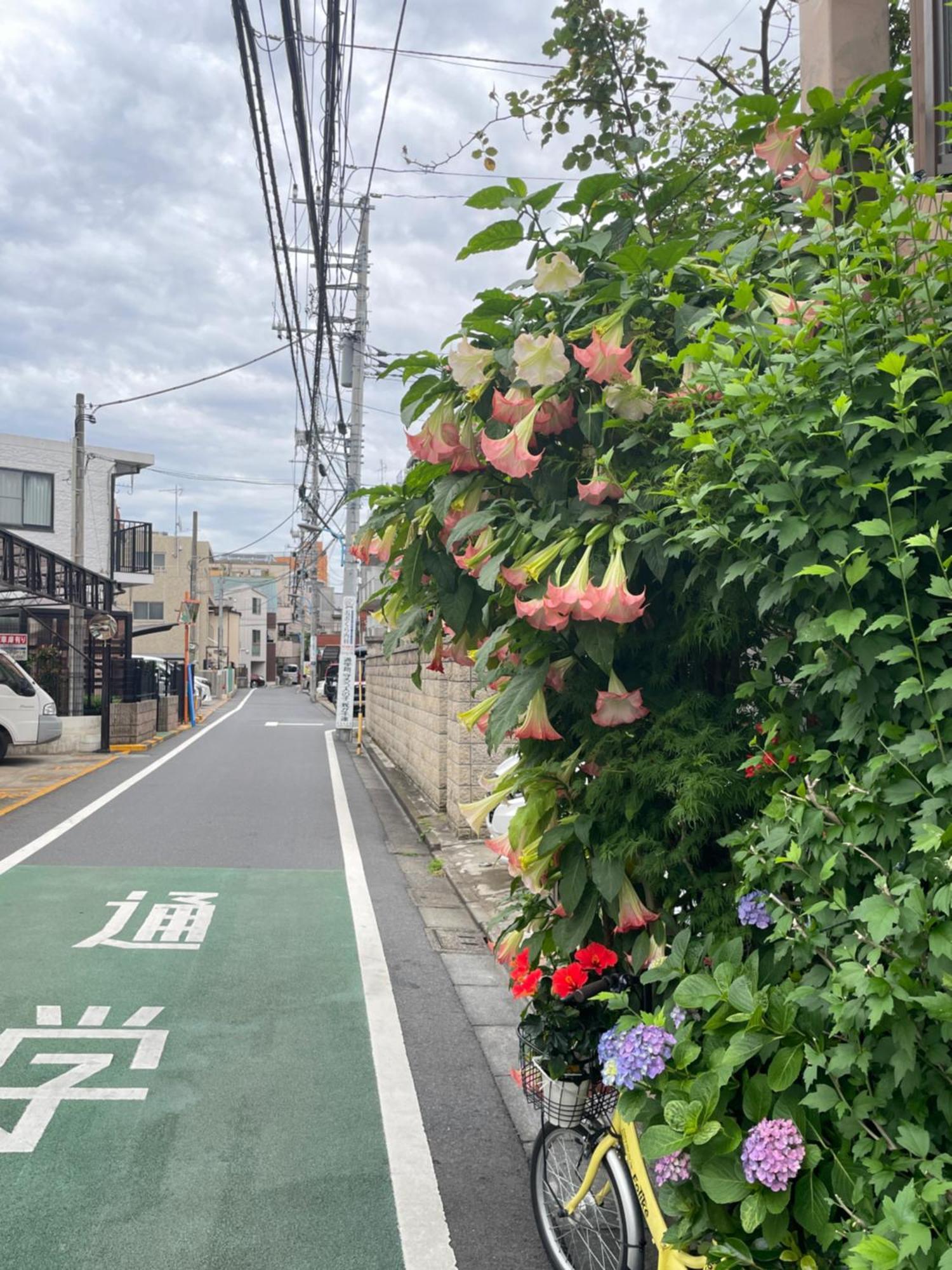 新宿庭院の屋-Shinjuku Garden Home -28 Square Meters King Size Bed Garden Room Tokyo Esterno foto