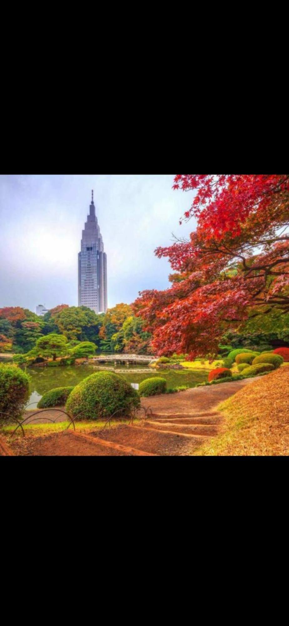 新宿庭院の屋-Shinjuku Garden Home -28 Square Meters King Size Bed Garden Room Tokyo Esterno foto