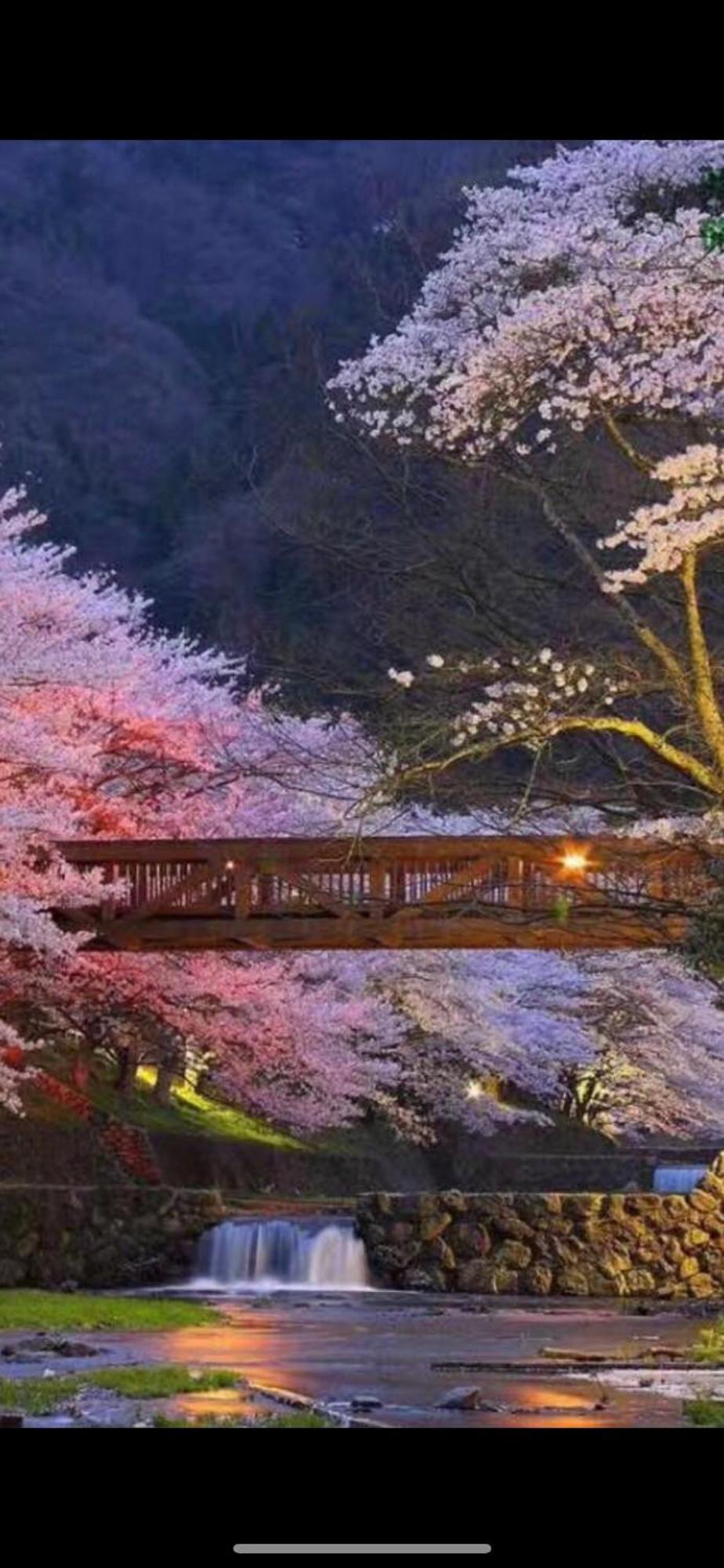 新宿庭院の屋-Shinjuku Garden Home -28 Square Meters King Size Bed Garden Room Tokyo Esterno foto